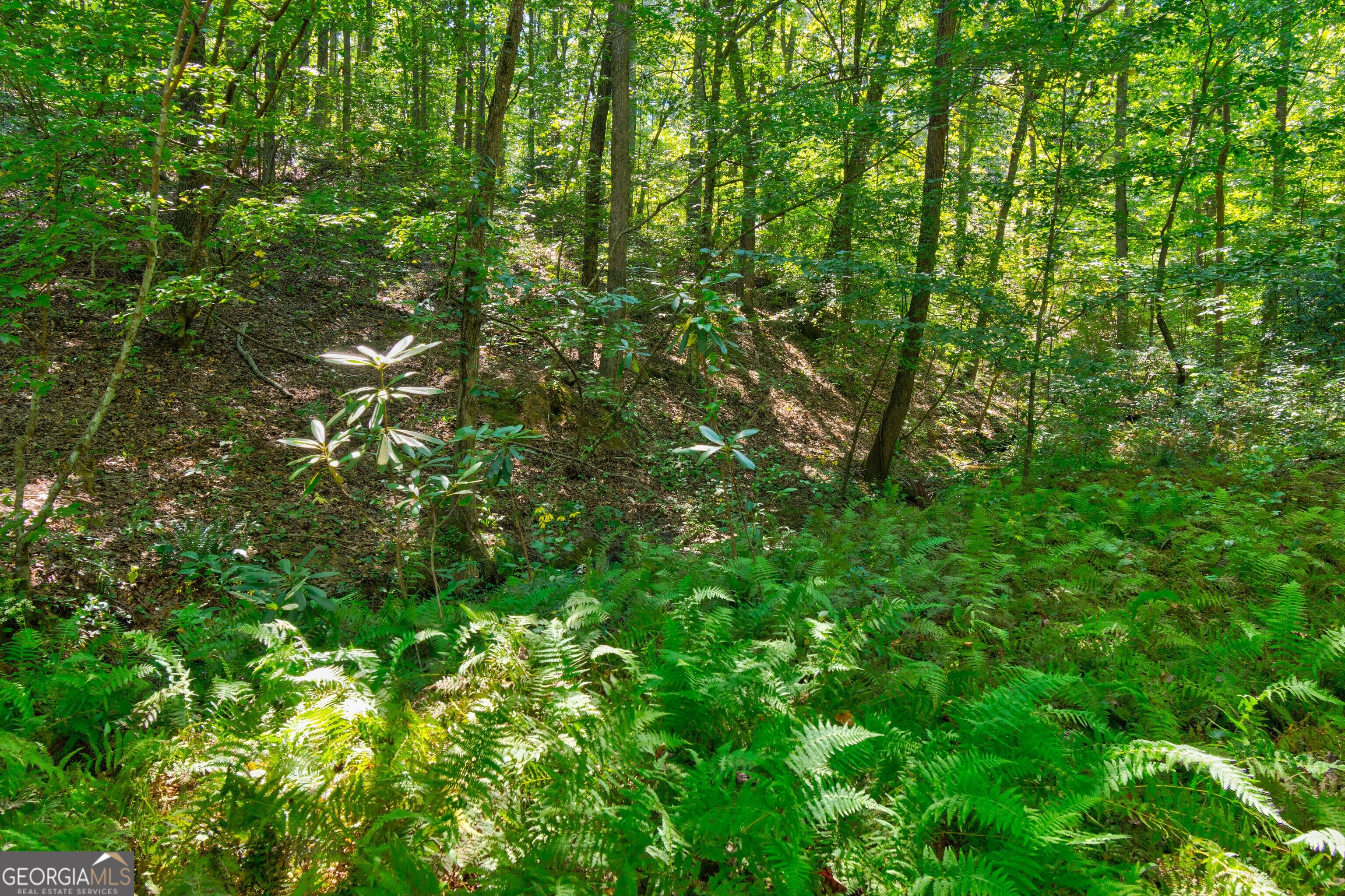 434 Mill Creek Drive Property Photo 61