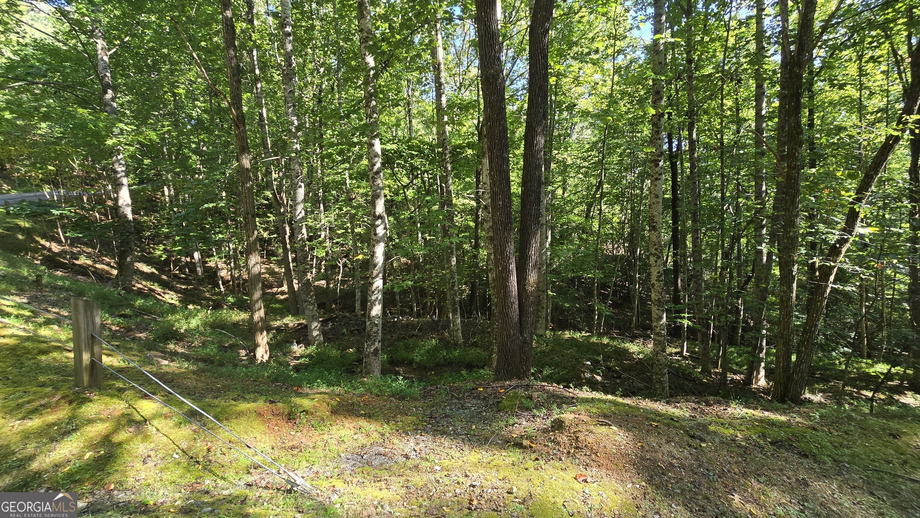 Lot 40 Double Knob Property Photo 4