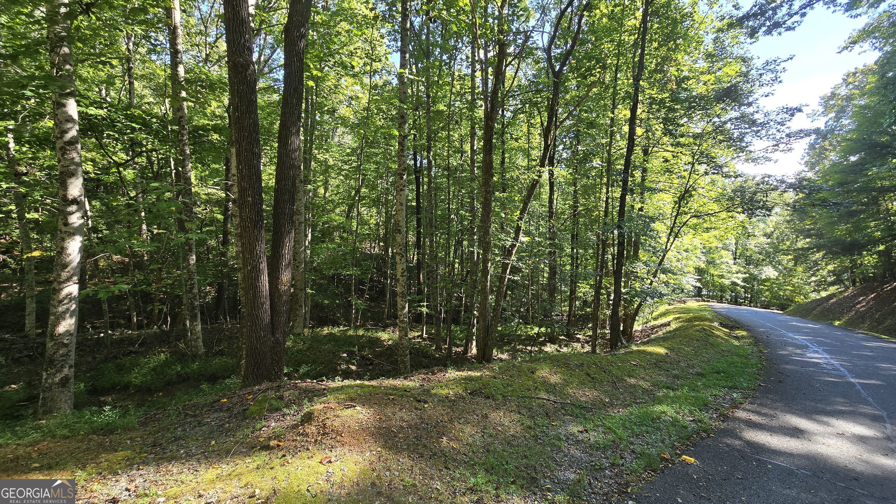 Lot 40 Double Knob Property Photo 5