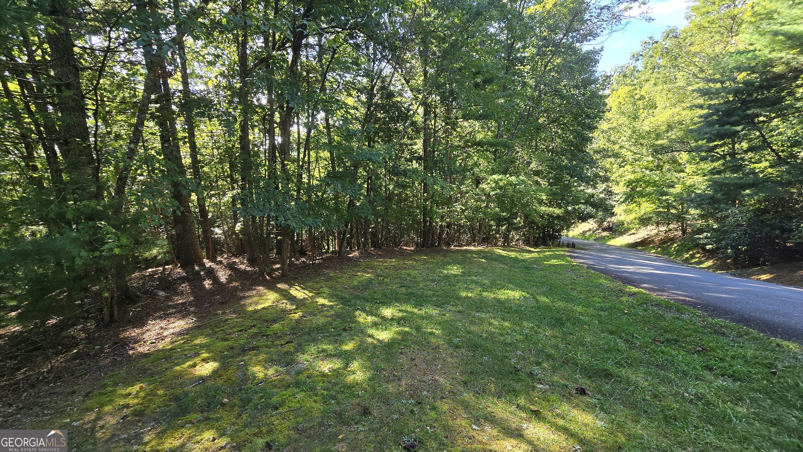 Lot 40 Double Knob Property Photo 6