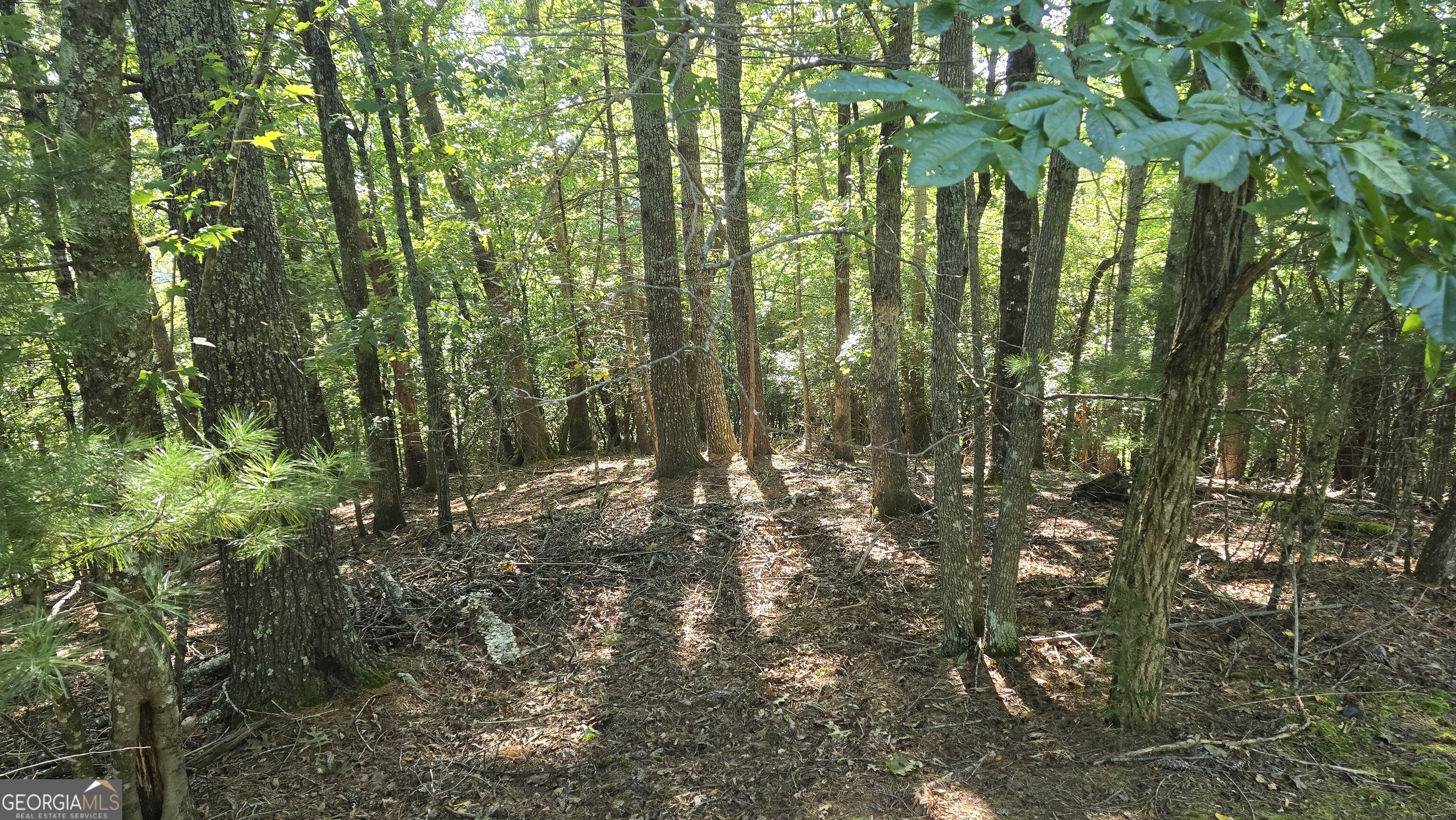 Lot 40 Double Knob Property Photo 9