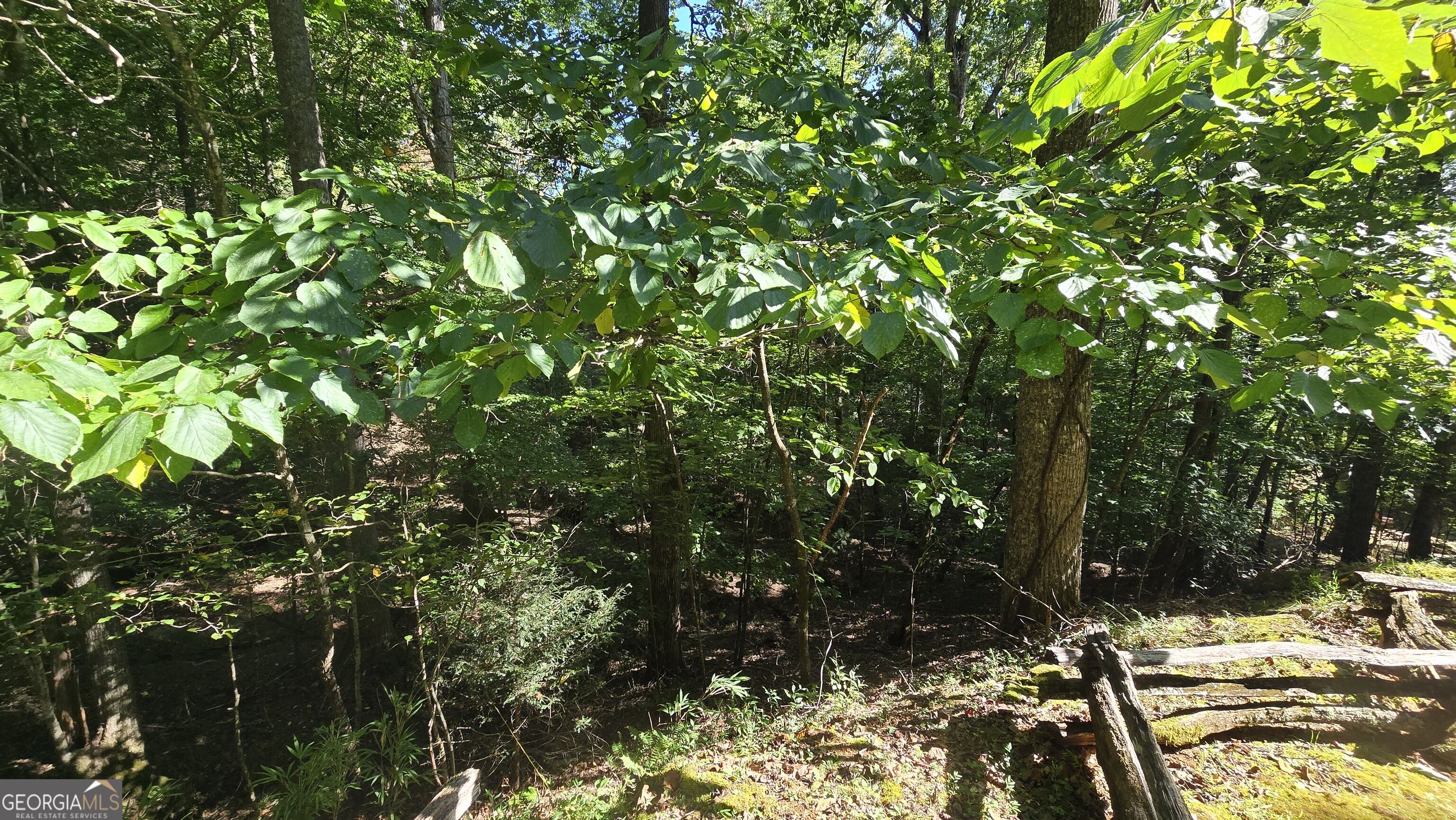 Lot 40 Double Knob Property Photo 10