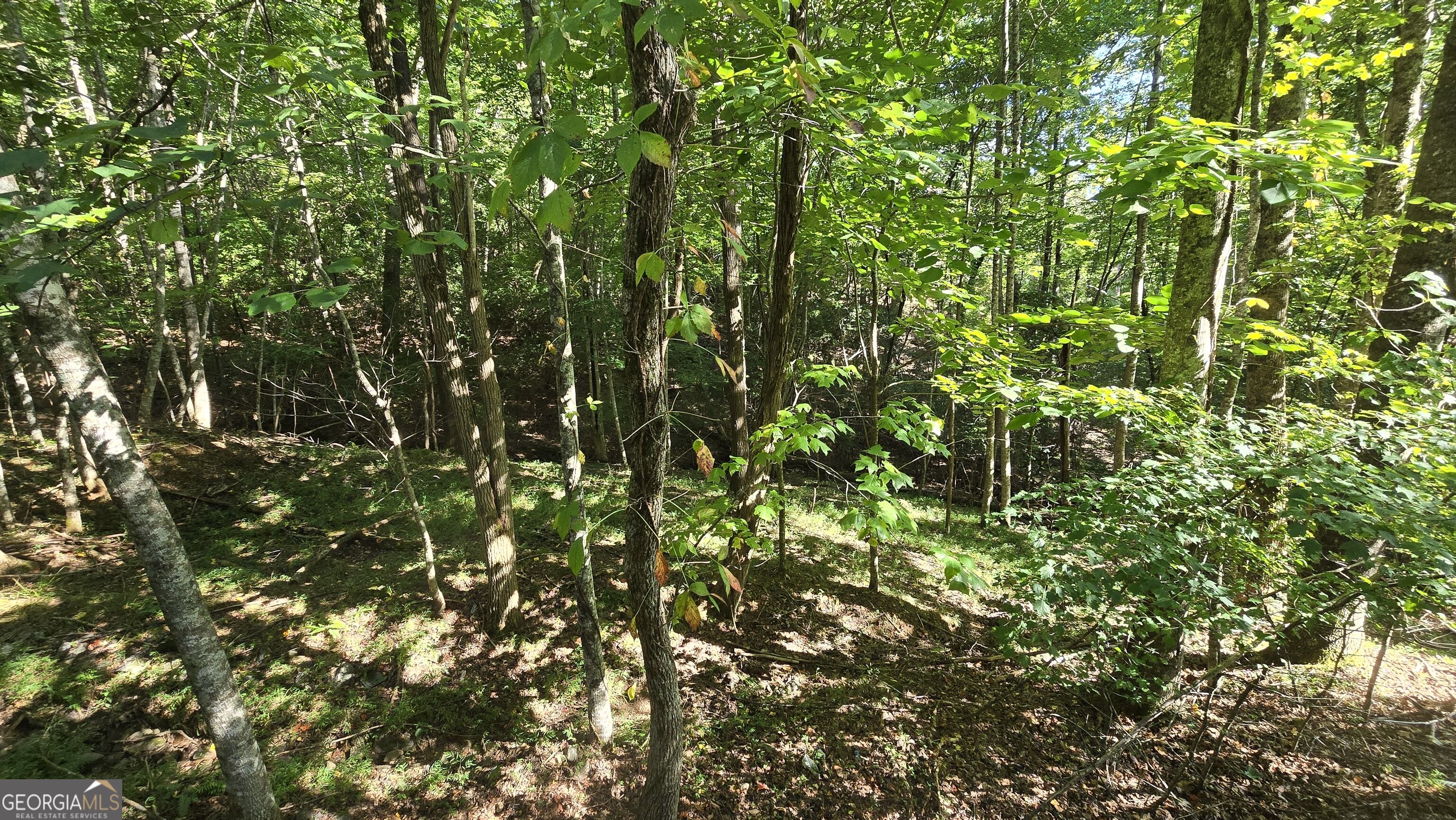 Lot 40 Double Knob Property Photo 11