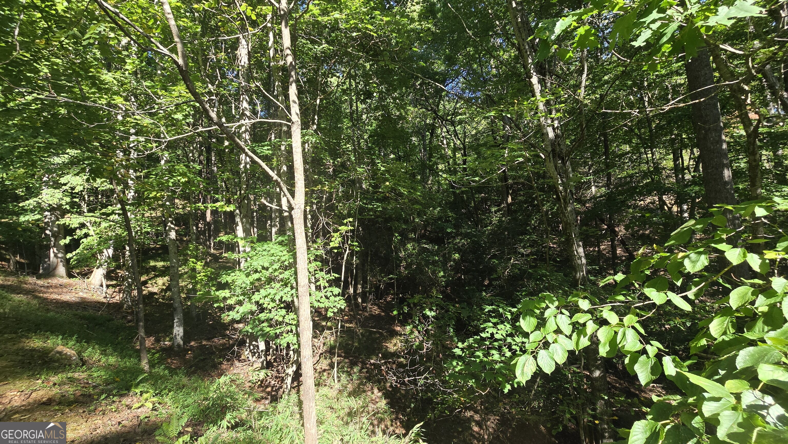 Lot 40 Double Knob Property Photo 12