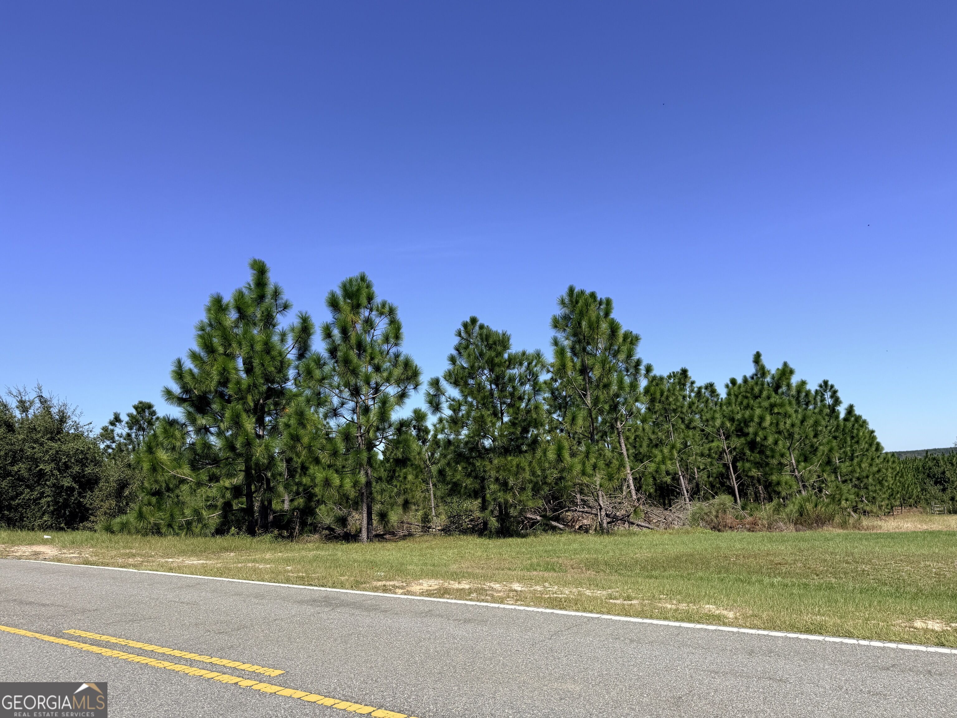 0 Altamaha Rd Property Photo 1