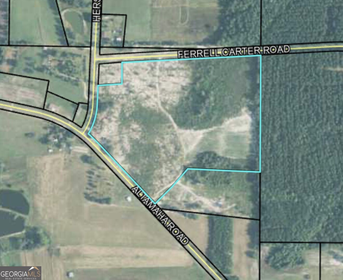 0 Altamaha Rd Property Photo 2