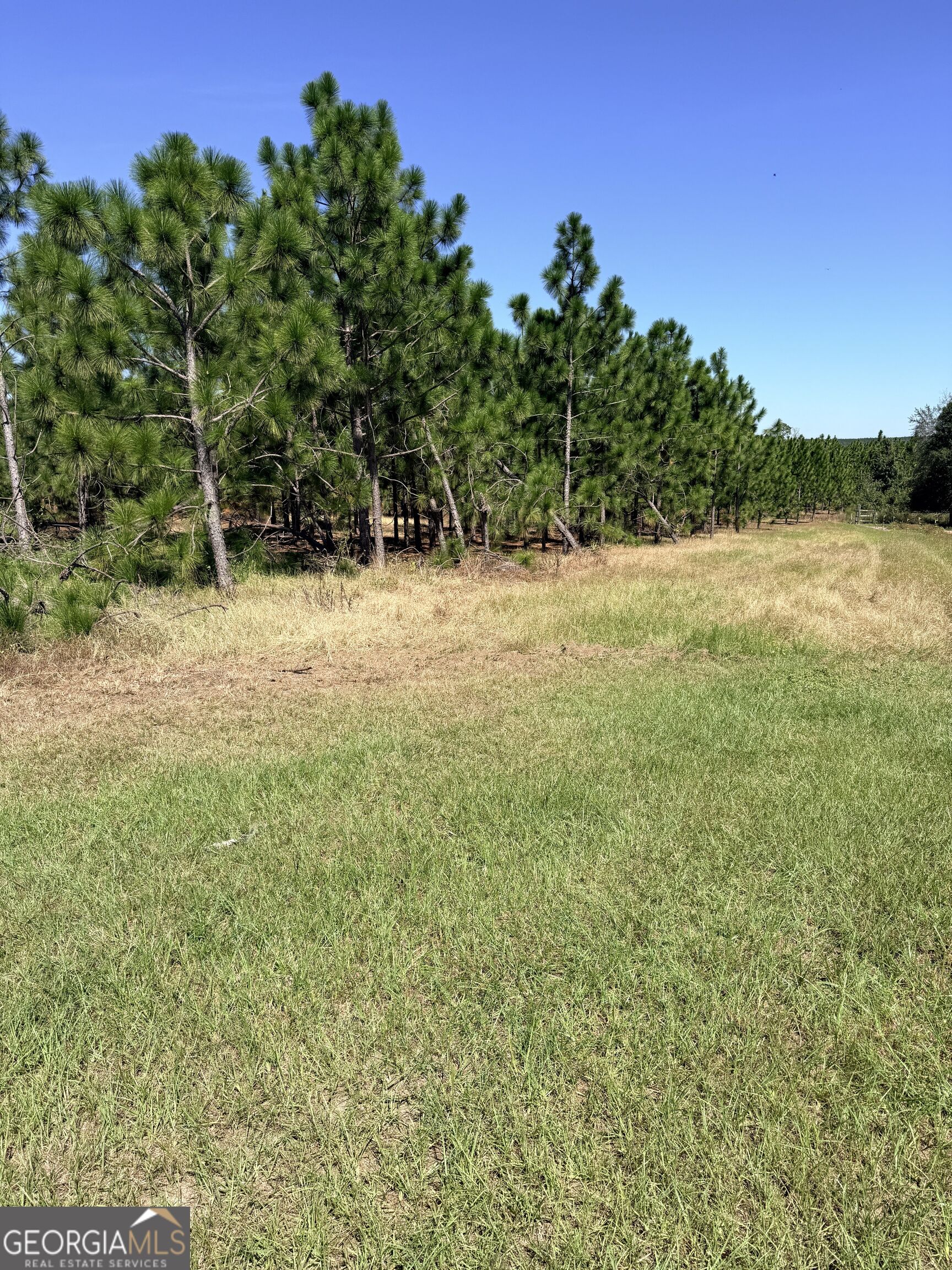 0 Altamaha Rd Property Photo 3