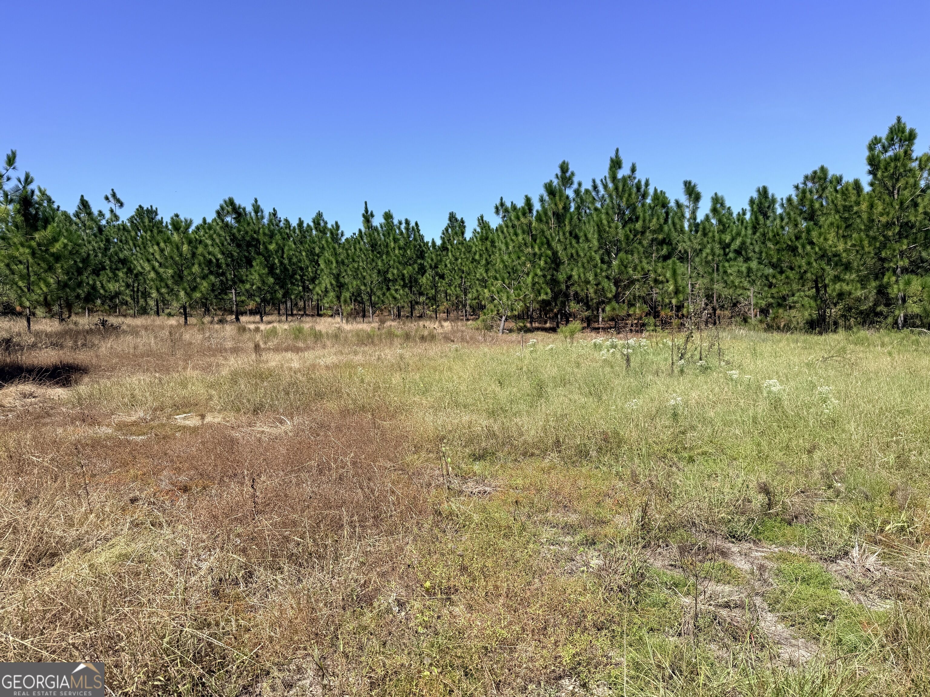 0 Altamaha Rd Property Photo 4