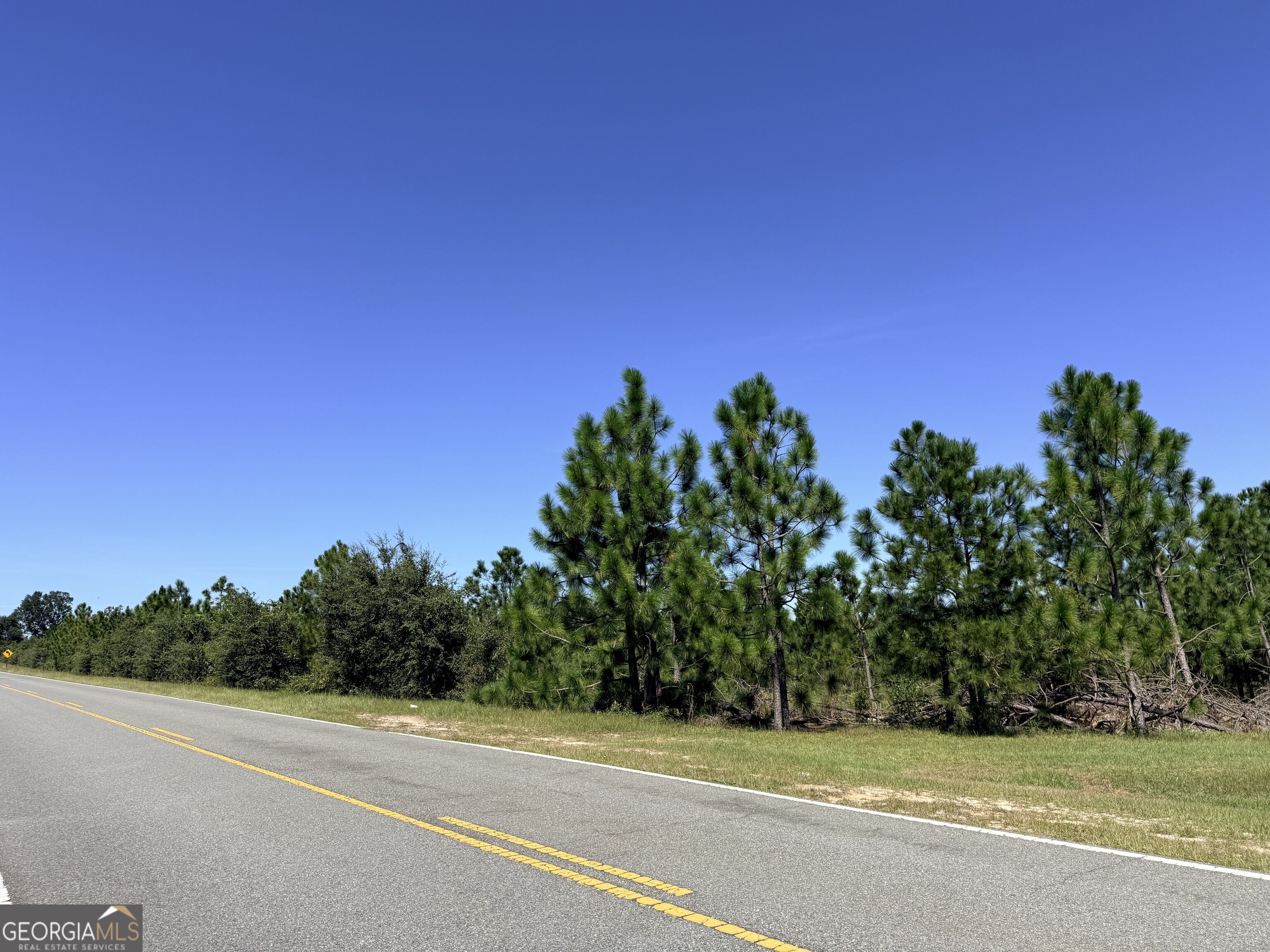 0 Altamaha Rd Property Photo 5