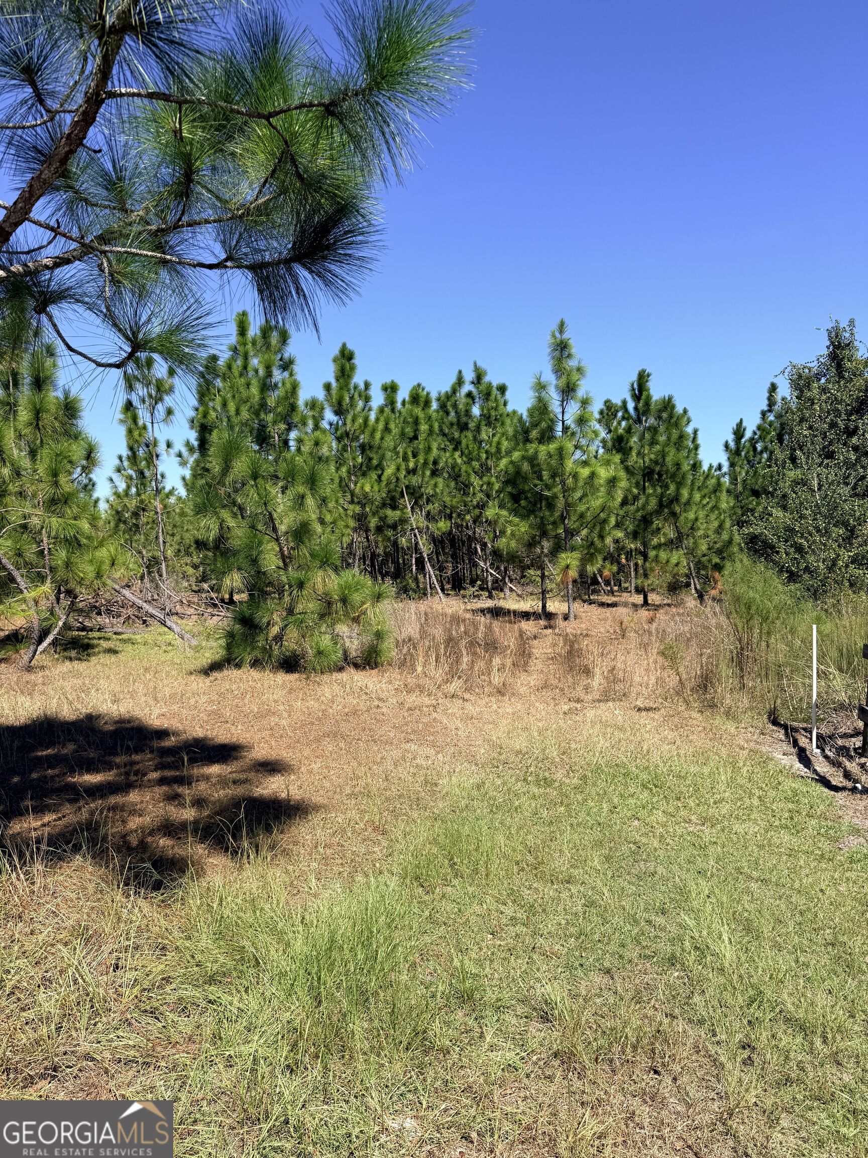 0 Altamaha Rd Property Photo 6