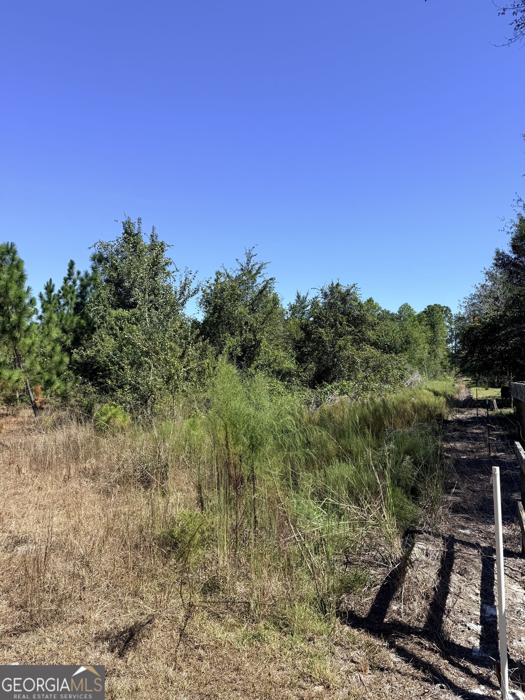 0 Altamaha Rd Property Photo 7