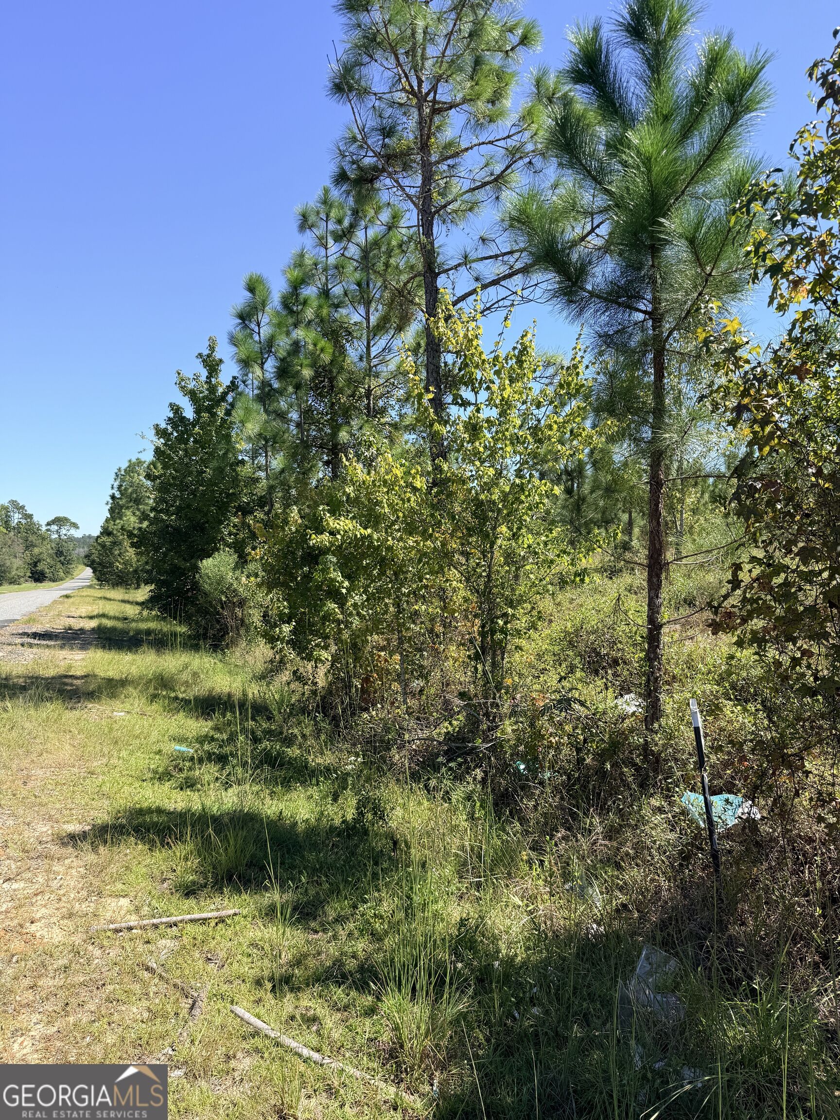 0 Altamaha Rd Property Photo 9