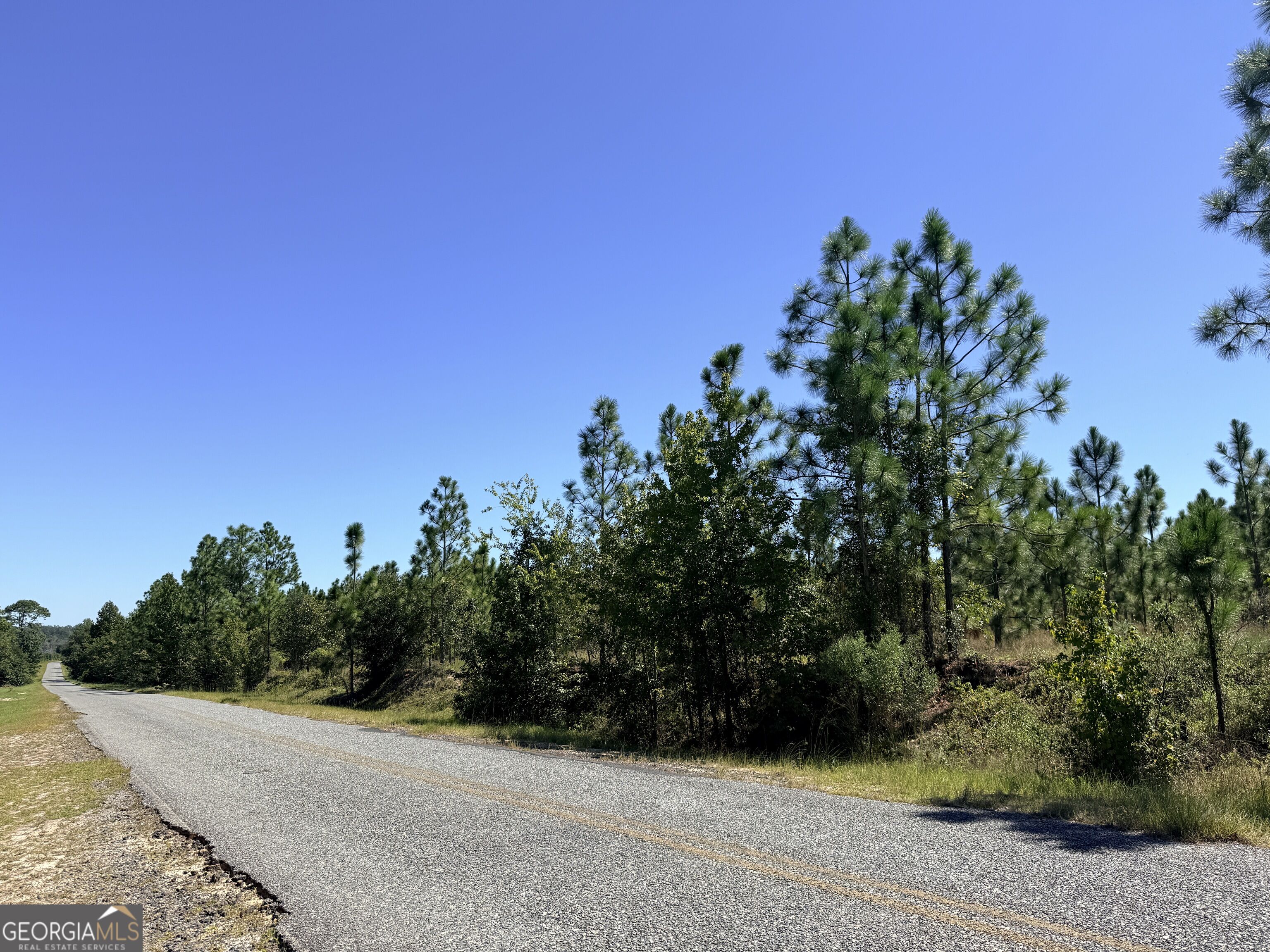 0 Altamaha Rd Property Photo 10