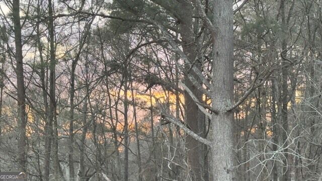 5861 Liberty Road Property Photo 1