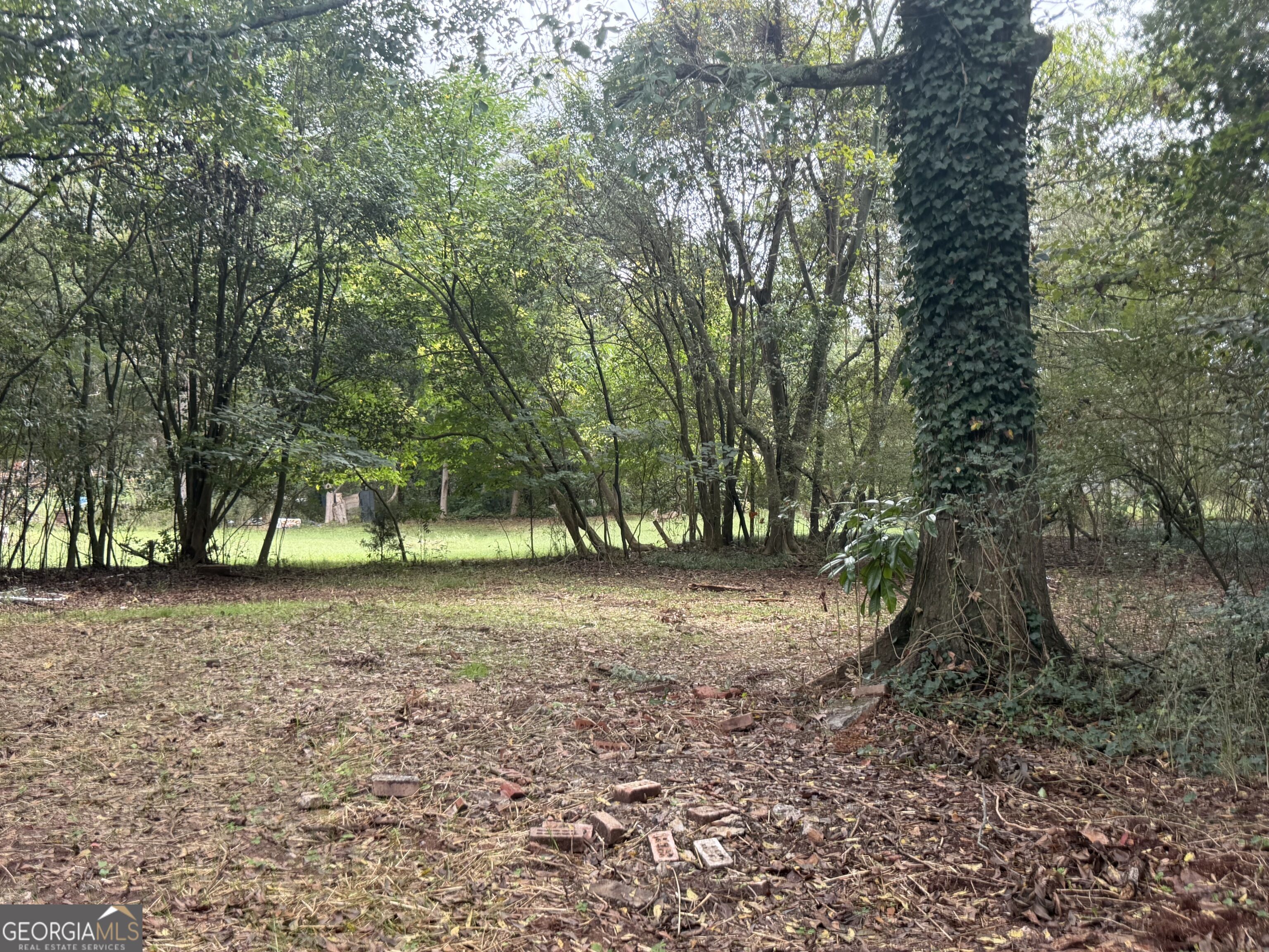 154 Cotton Street Property Photo 20