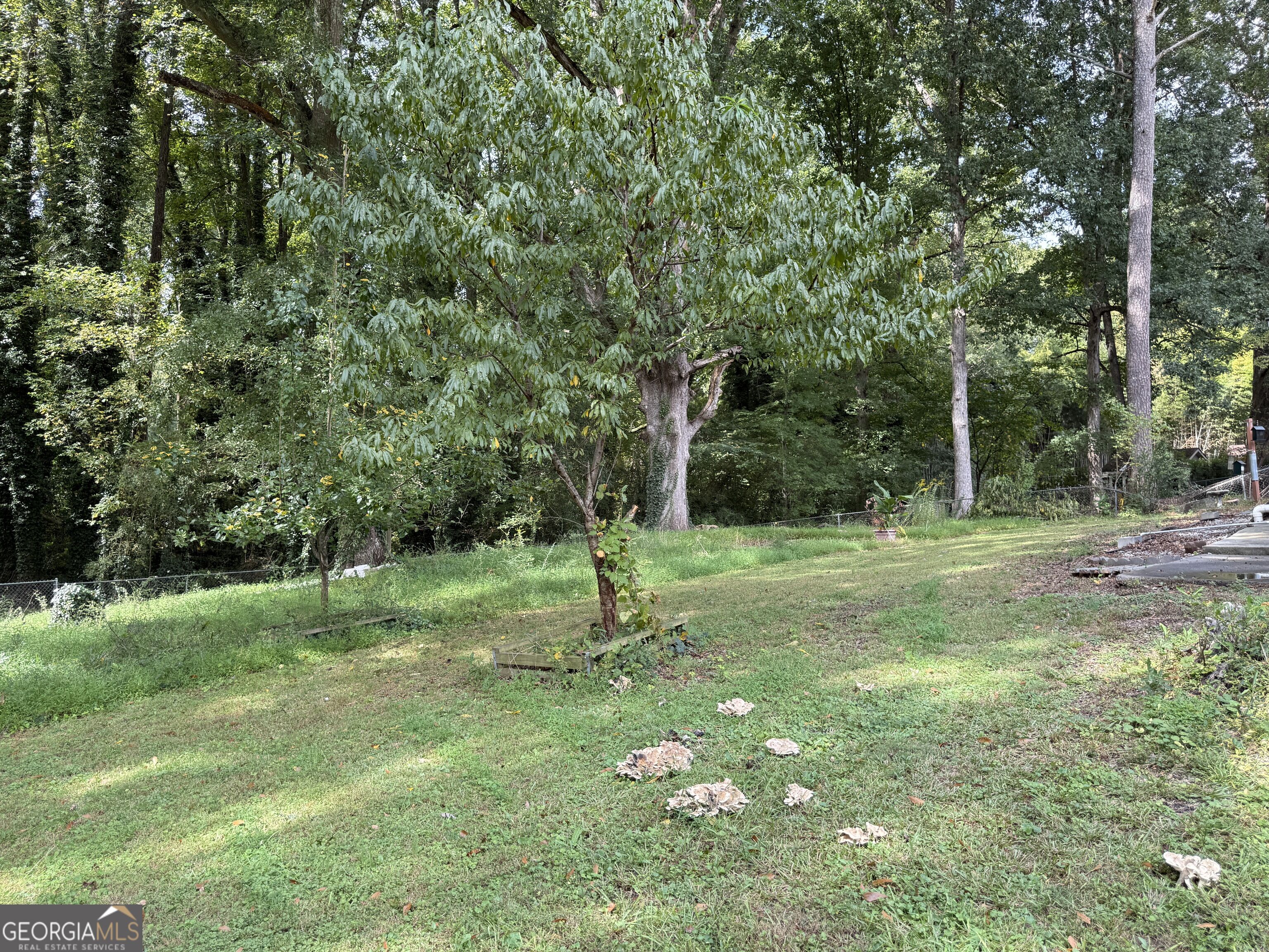 5941 Pinecreek Road Property Photo 38