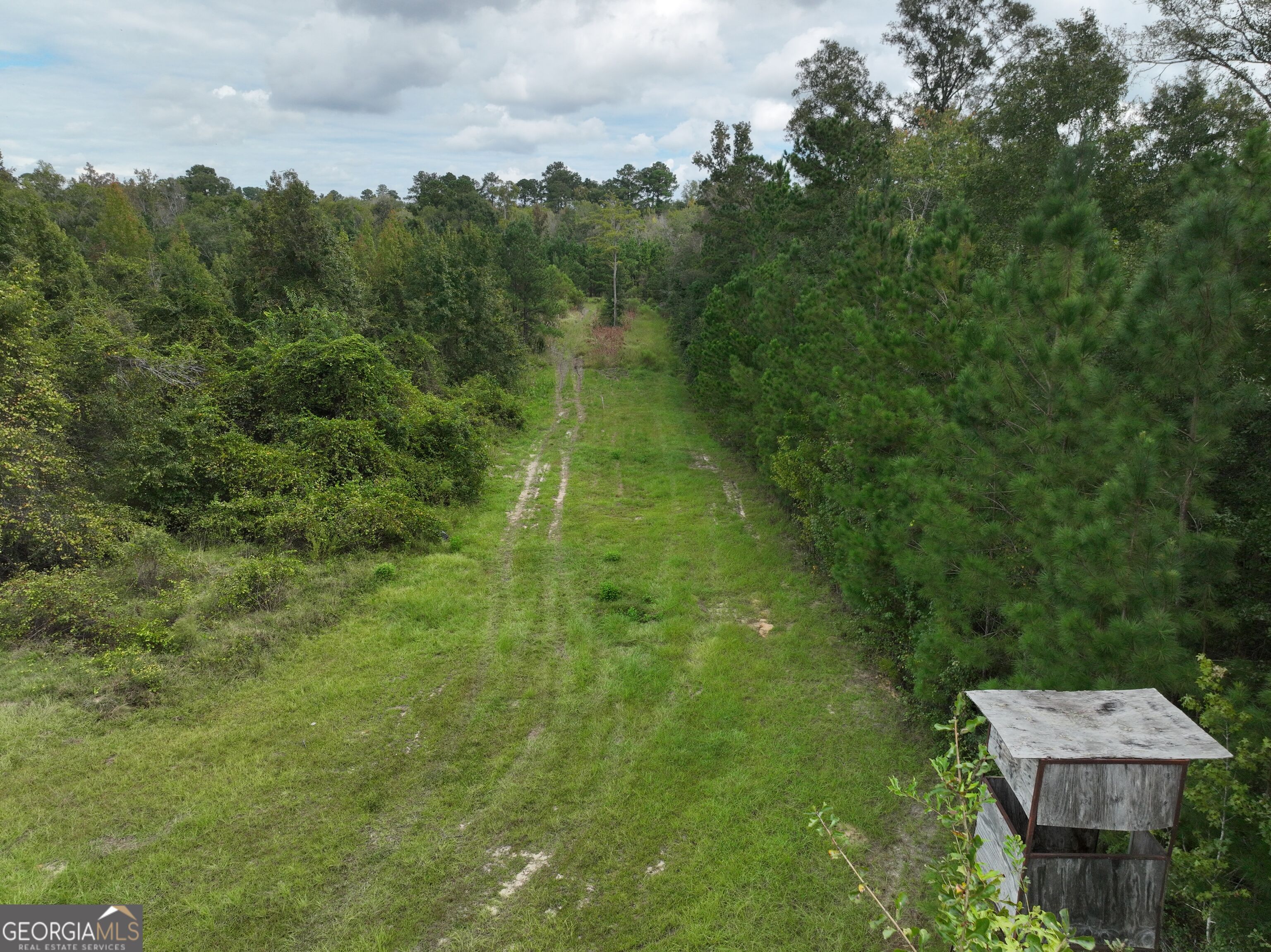 28262 Canoochee Road Property Photo 19