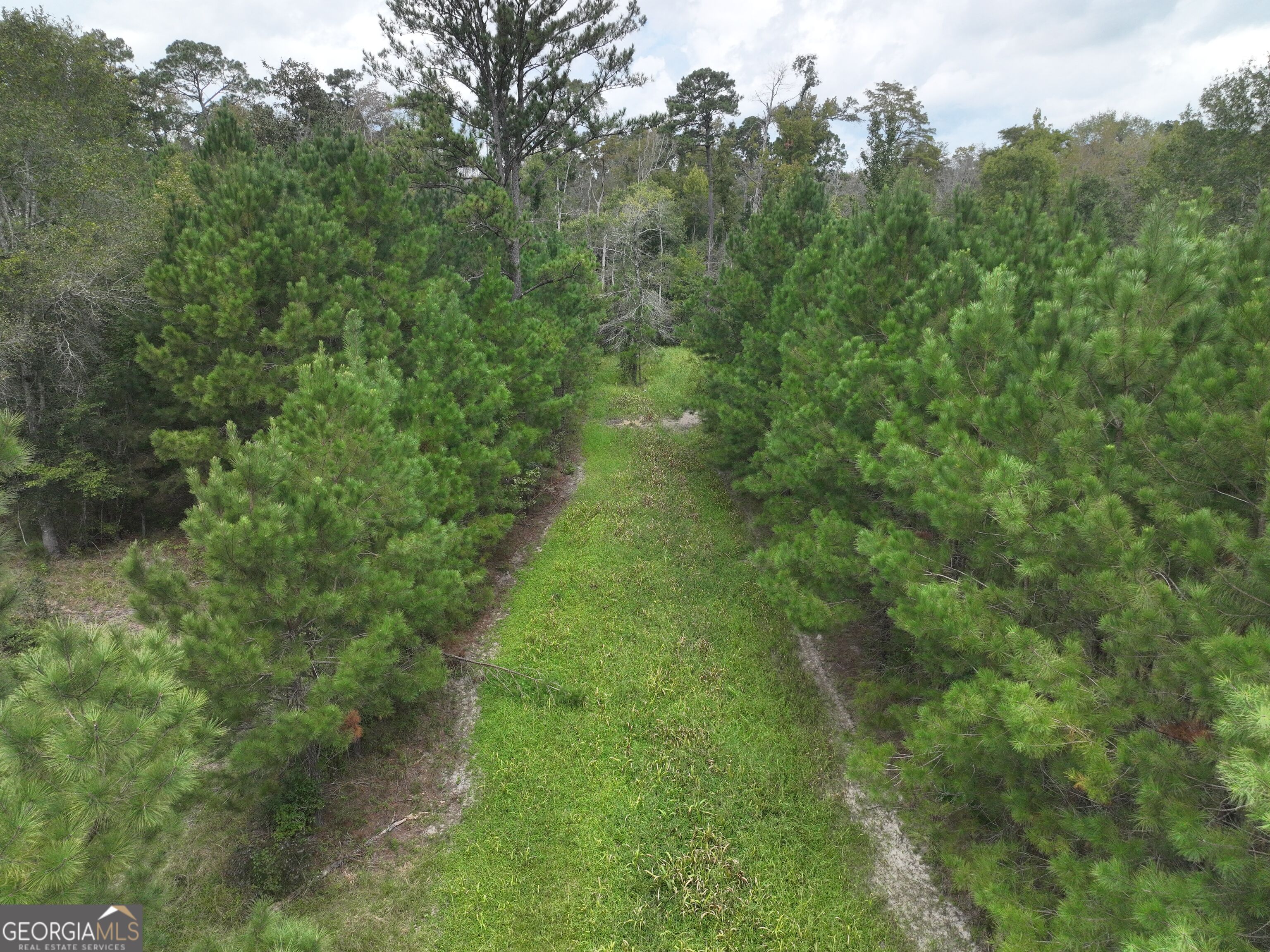 28262 Canoochee Road Property Photo 22