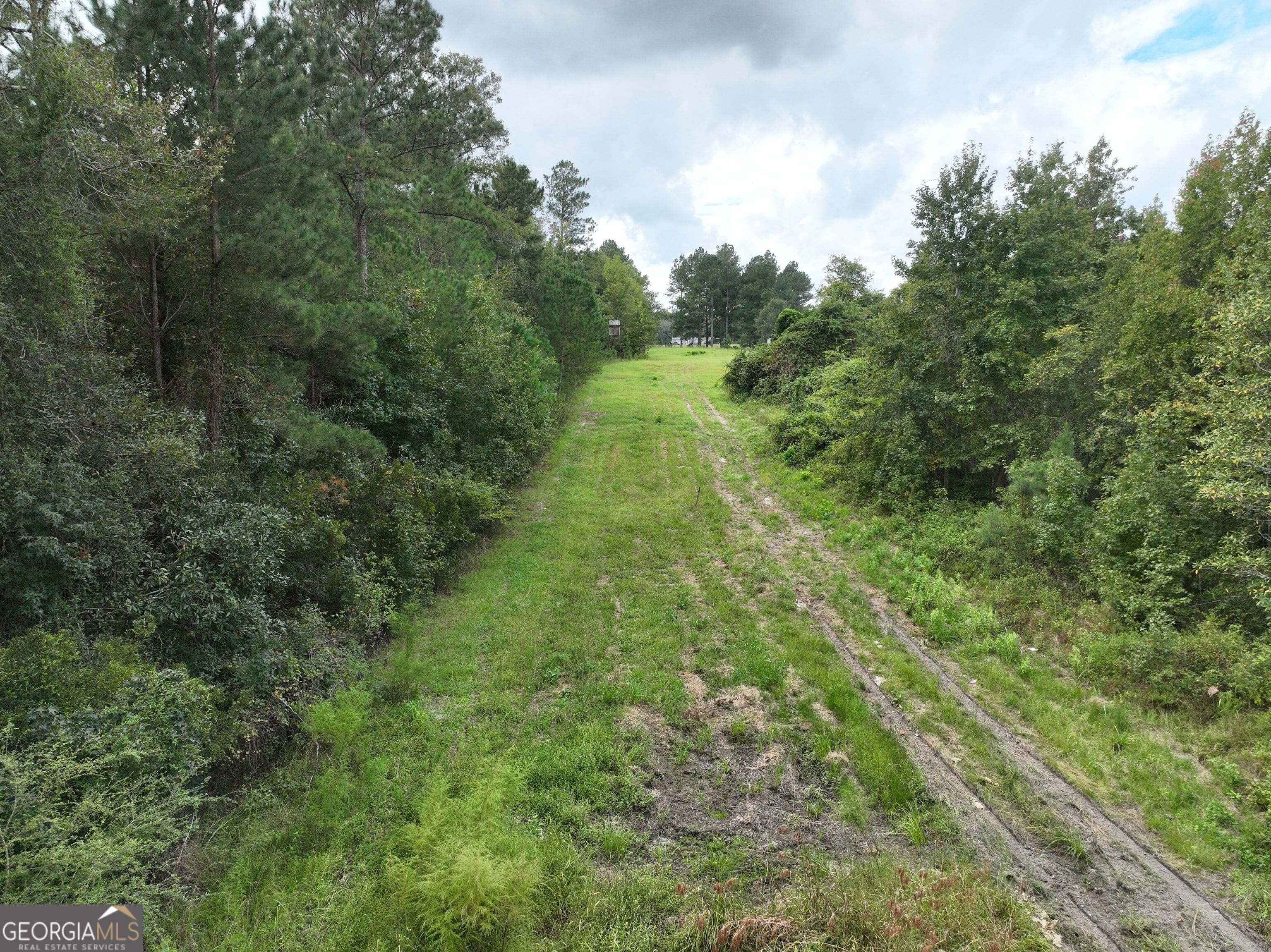 28262 Canoochee Road Property Photo 23