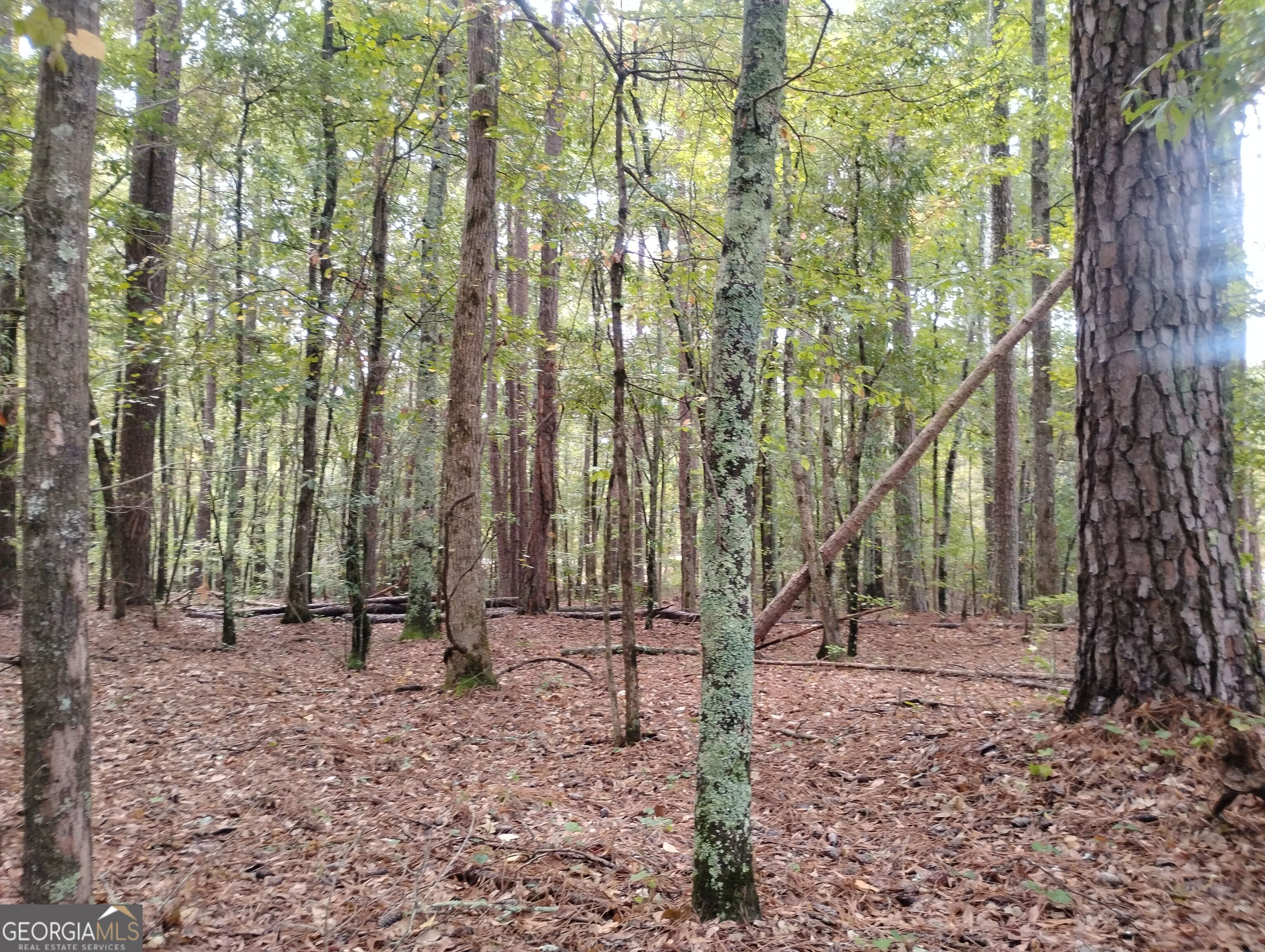 3000 White Pine Lane Property Photo 26