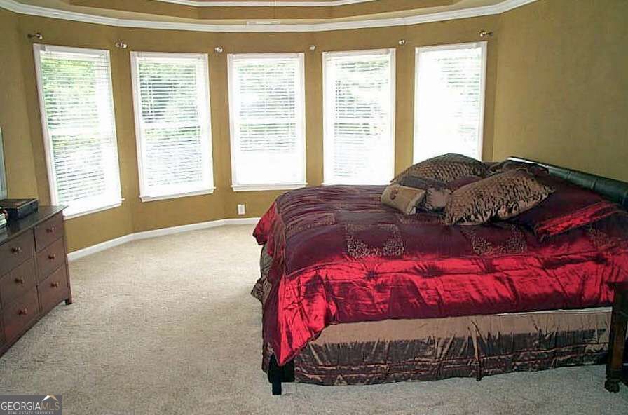 10635 Cauley Creek Drive Property Photo 9