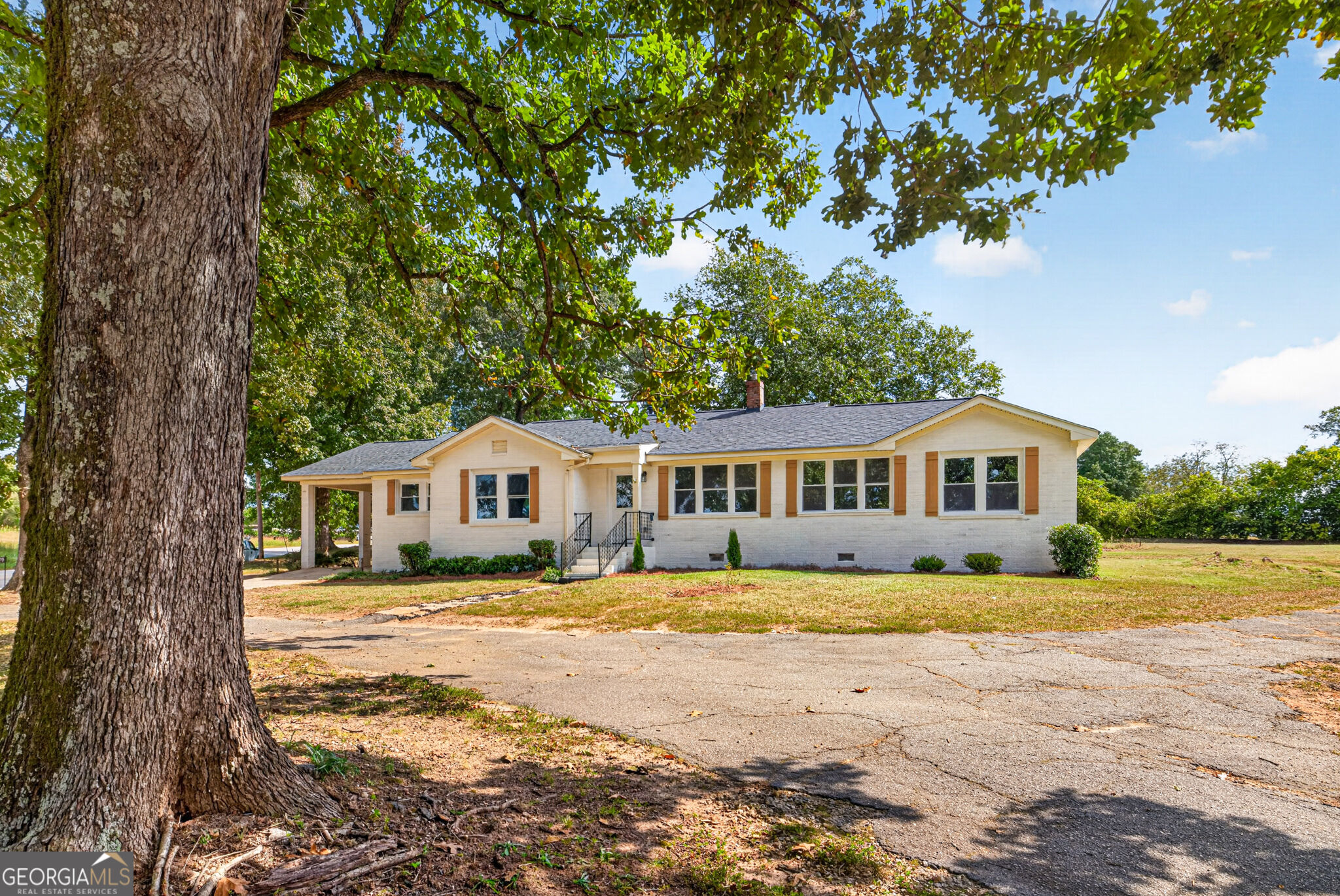379 Mount Olive Church Road Property Photo 4