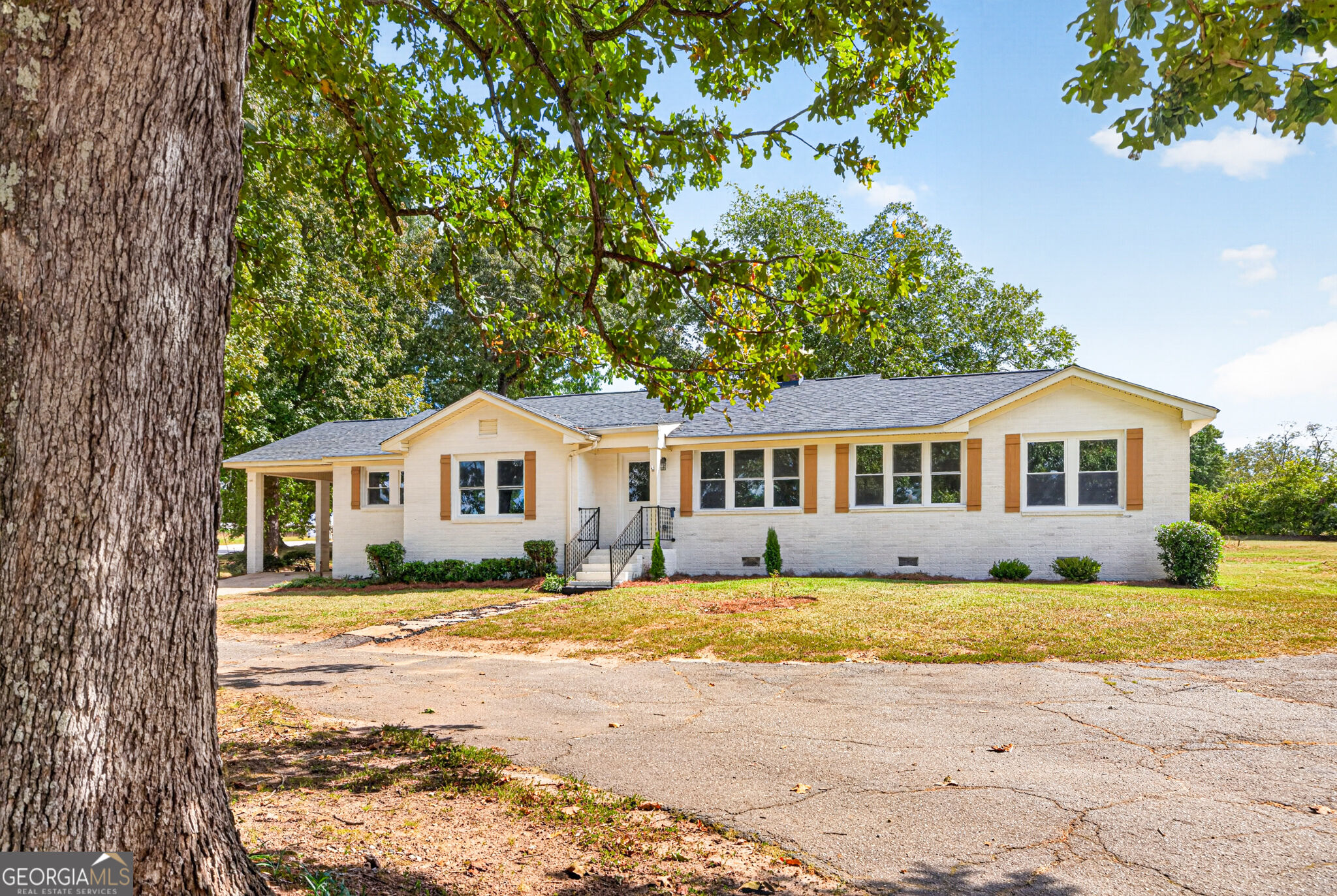 379 Mount Olive Church Road Property Photo 5