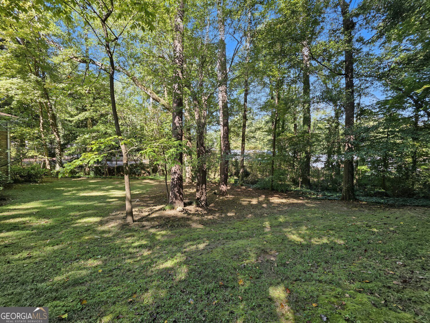 244 Cold Creek Drive Property Photo 19