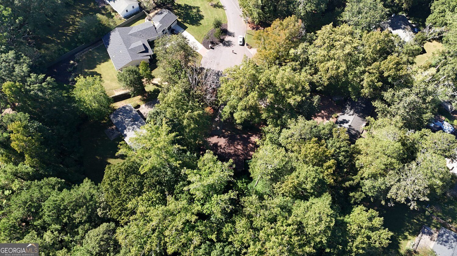 244 Cold Creek Drive Property Photo 21