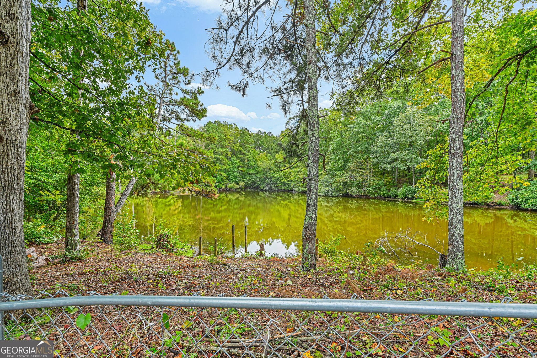 80 Lakefront Drive Property Photo 35
