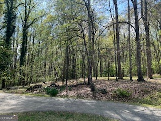 1310 Ivywood Drive Property Photo 55