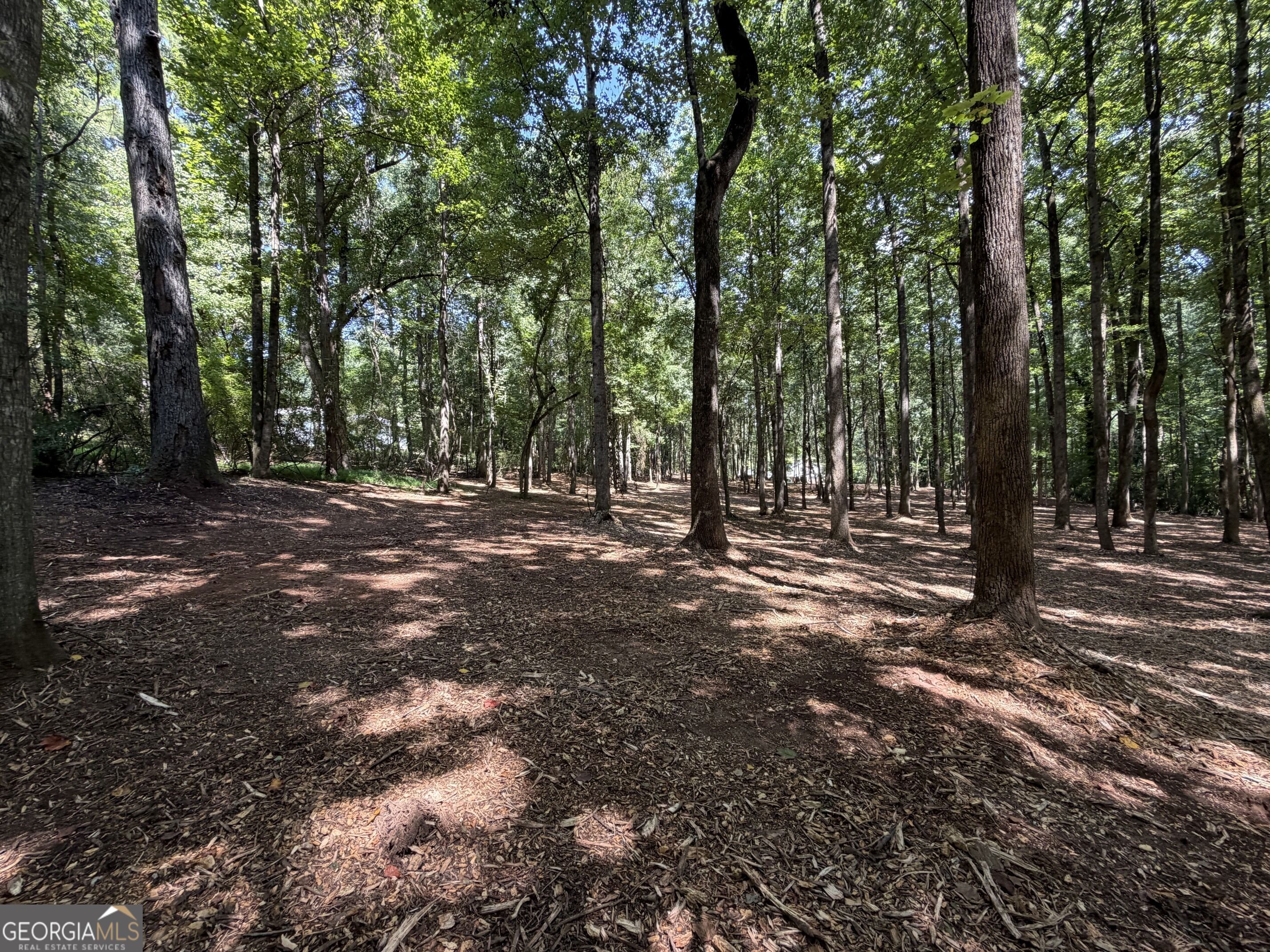 1310 Ivywood Drive Property Photo 66