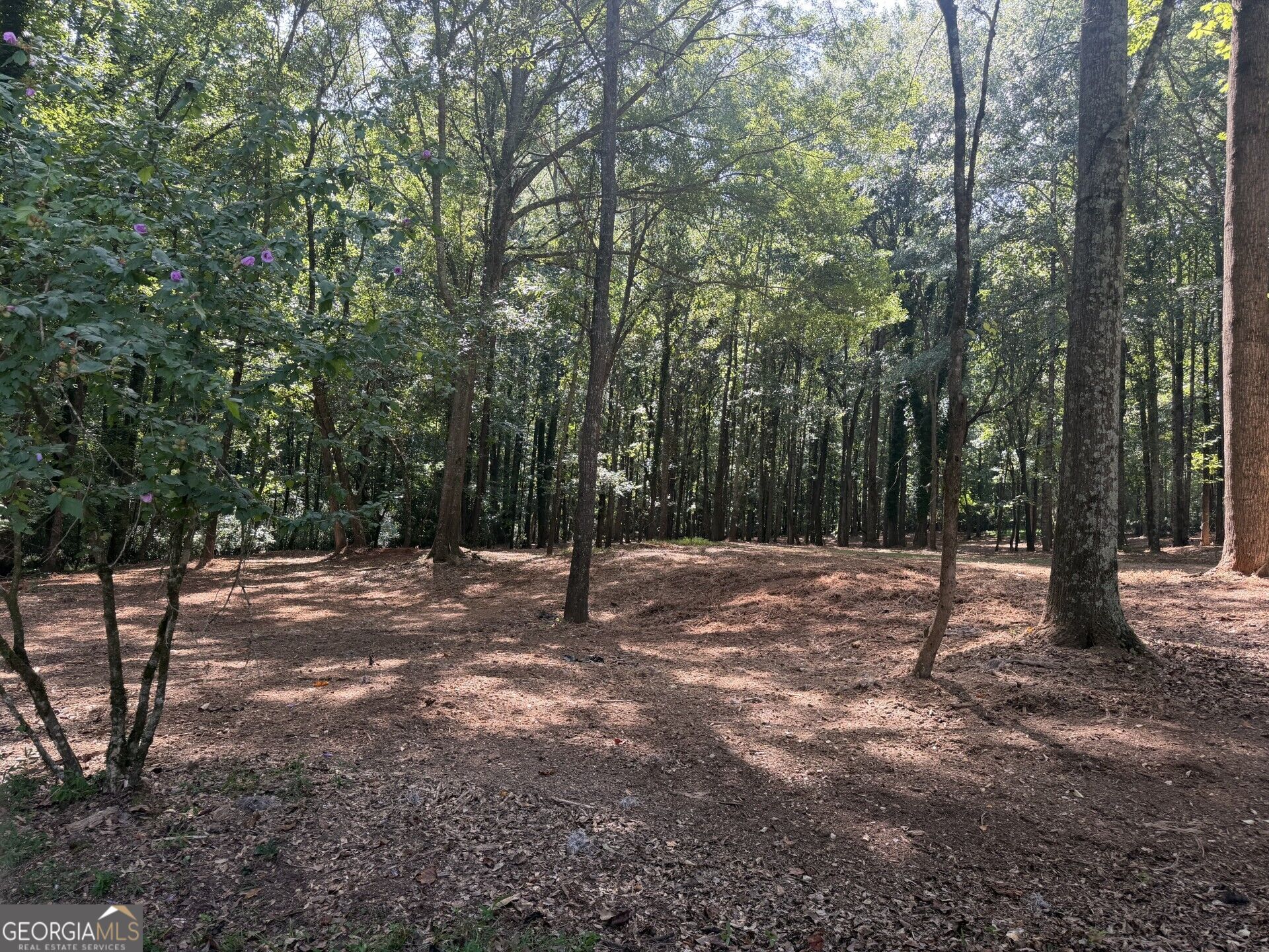 1310 Ivywood Drive Property Photo 70