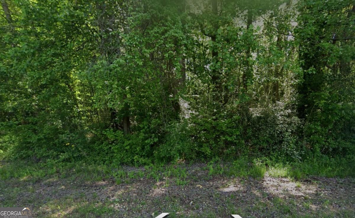 1374 Zebulon Road Property Photo 1
