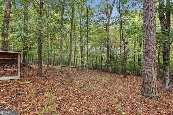 1341 Riverhill Drive Property Photo 45