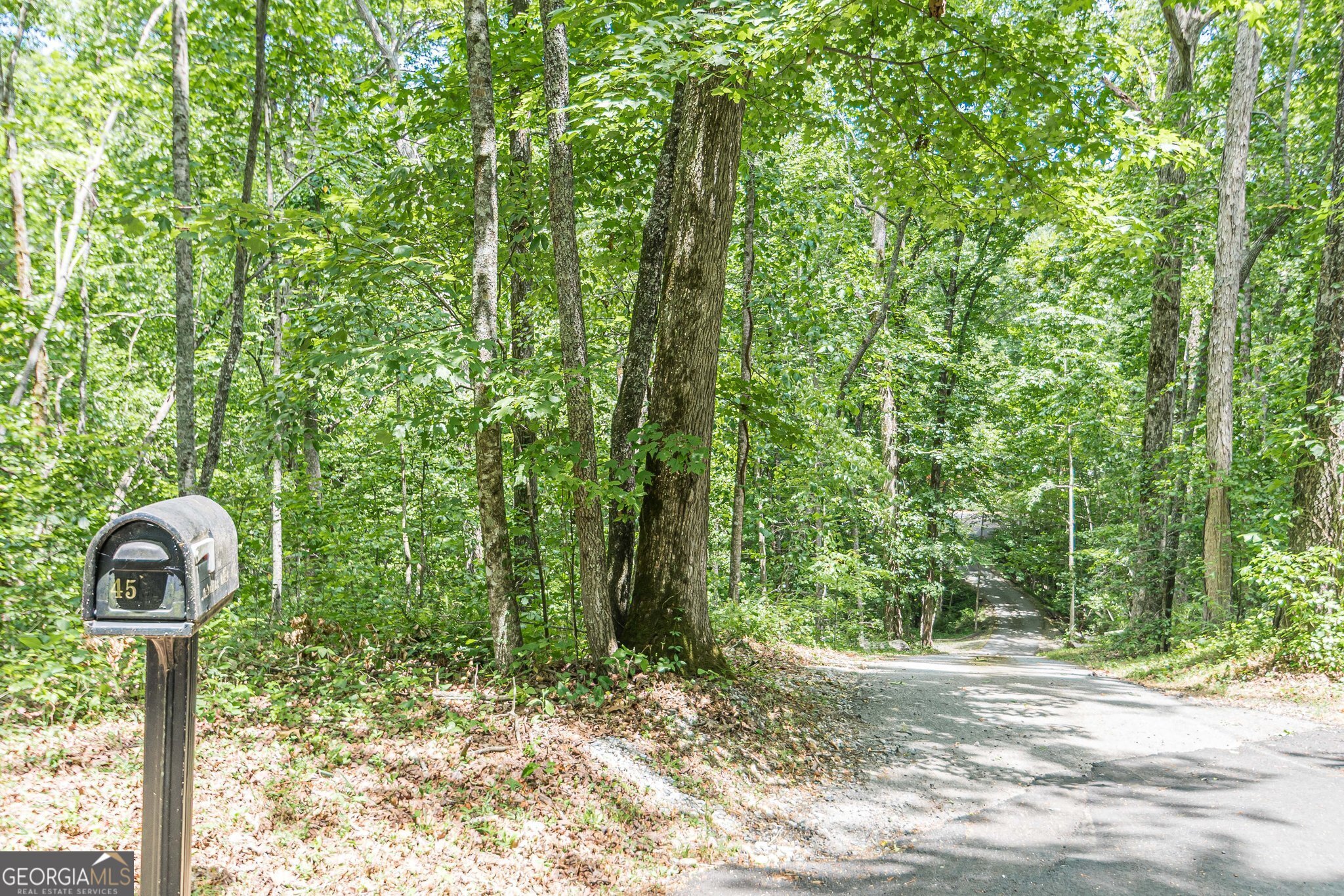 45 Chestatee River Ridge Nw Property Photo 69