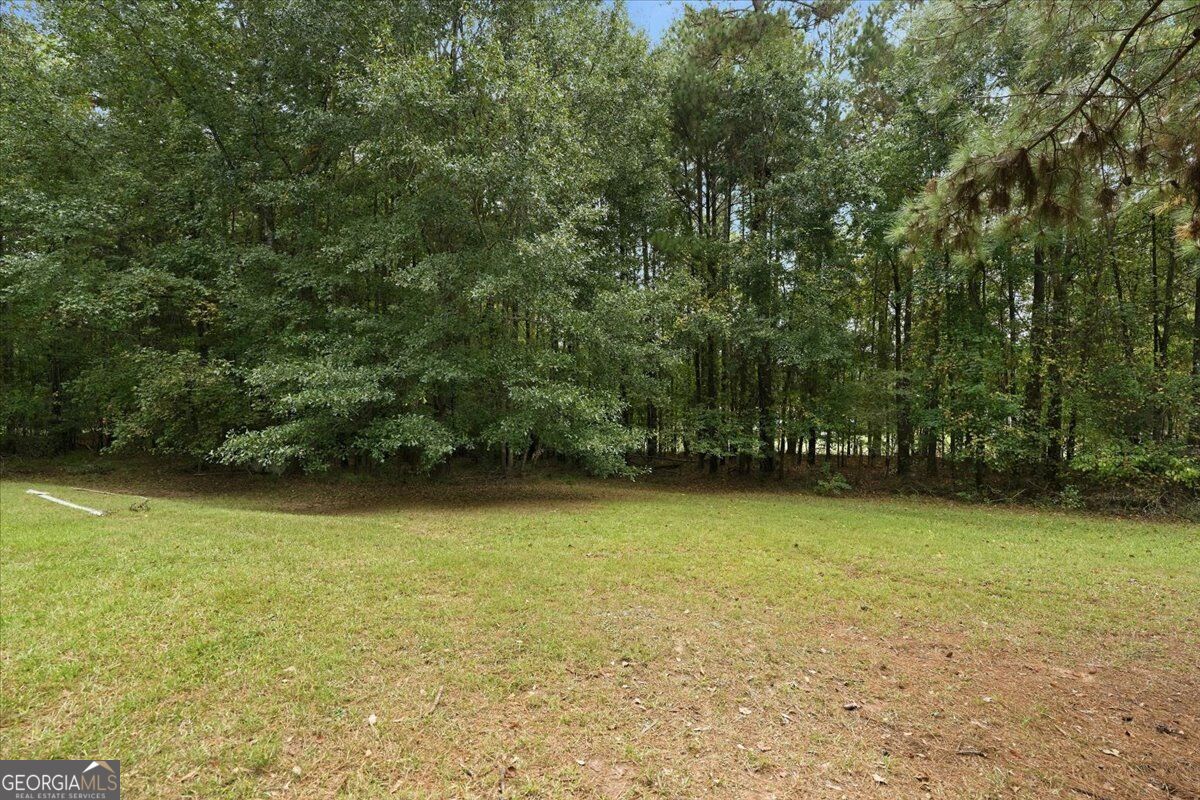 312 Blounts Chapel Road Property Photo 22