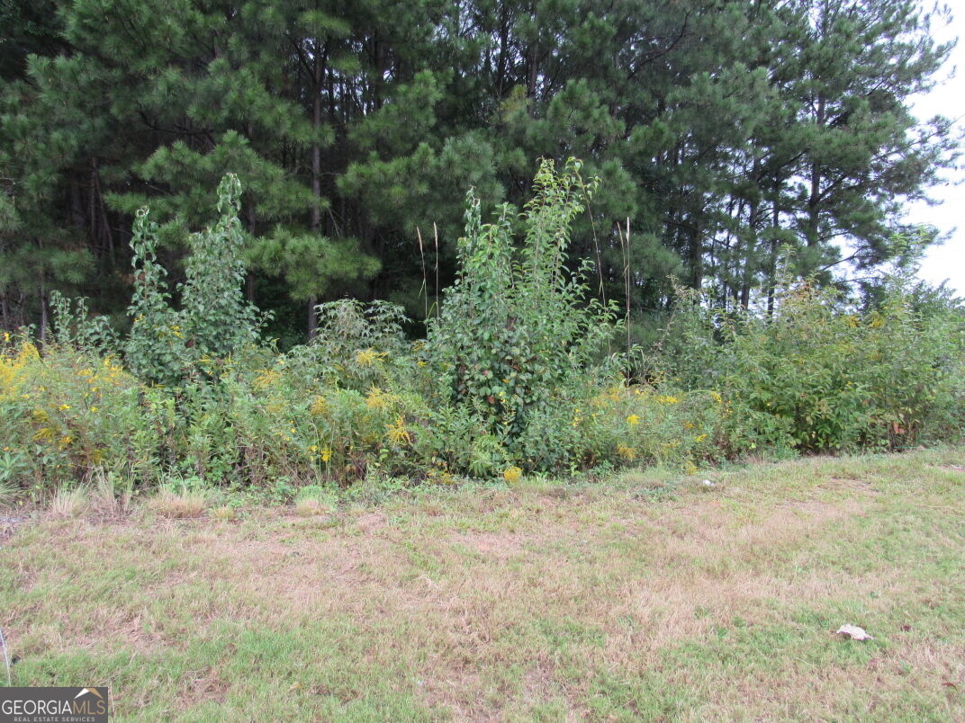 5022 Austell Road Property Photo 3