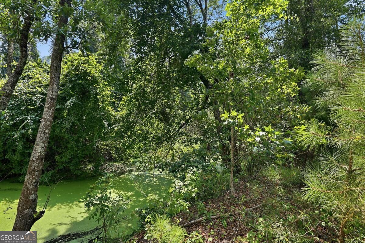 225 Frank Edwards Road Property Photo 50