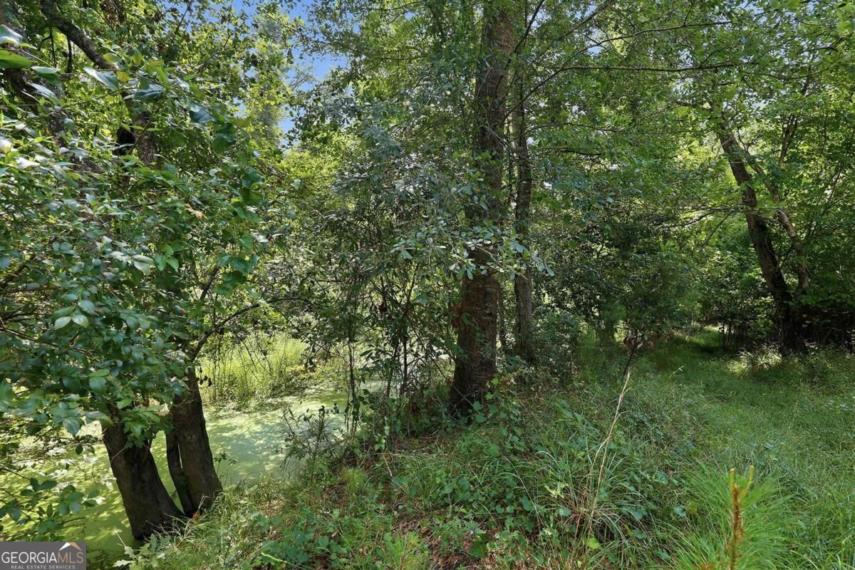 225 Frank Edwards Road Property Photo 51