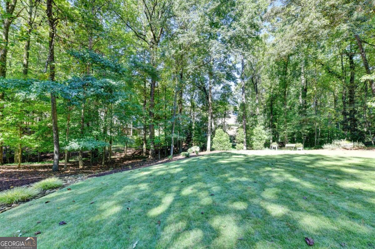 675 Peace Creek Trace Property Photo 67