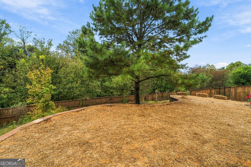 295 Floating Leaf Way Property Photo 37