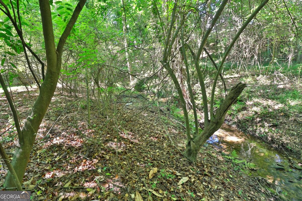 353 Fall View Court Property Photo 60