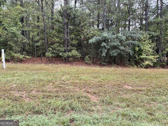 0 Chipley Highway Property Photo 1