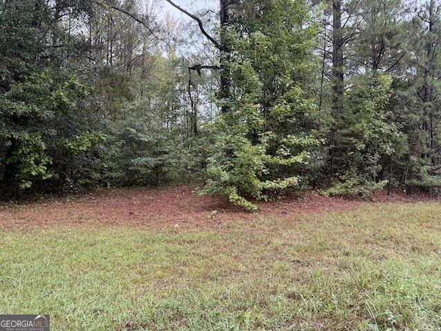 0 Chipley Highway Property Photo 4