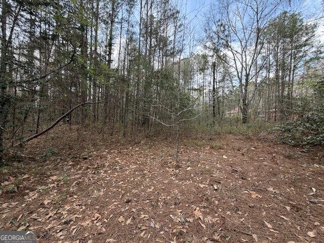 0 Chipley Highway Property Photo 9