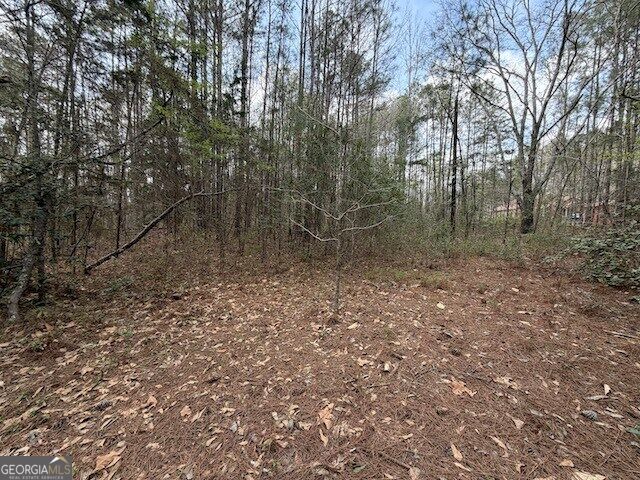 0 Chipley Highway Property Photo 10