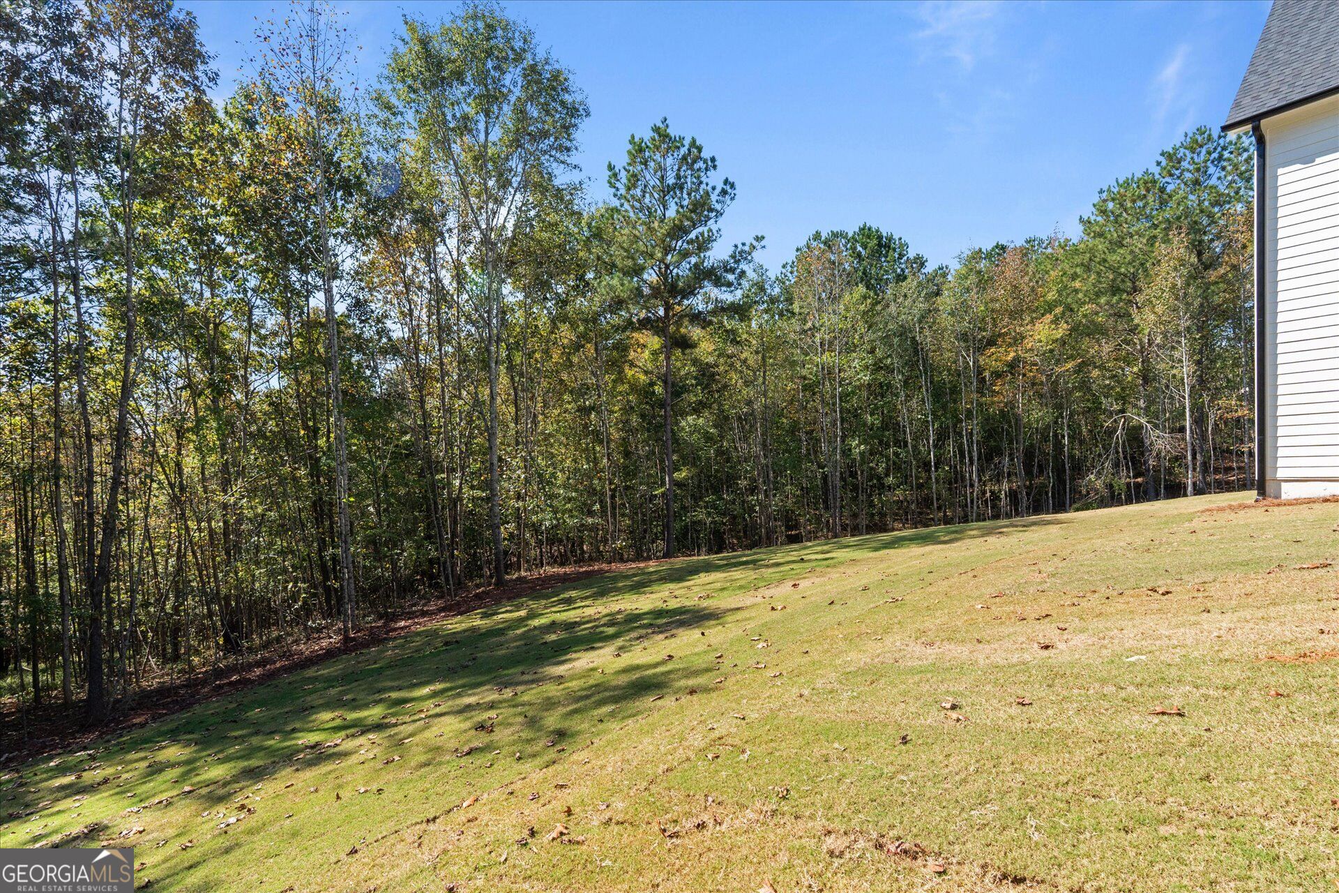 1425 Old Ridgeway Road Property Photo 47