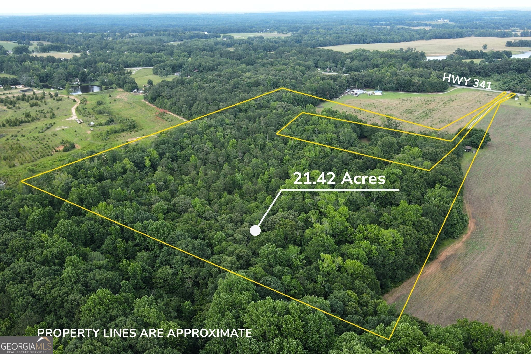 143 Highway 341 S Property Photo 3