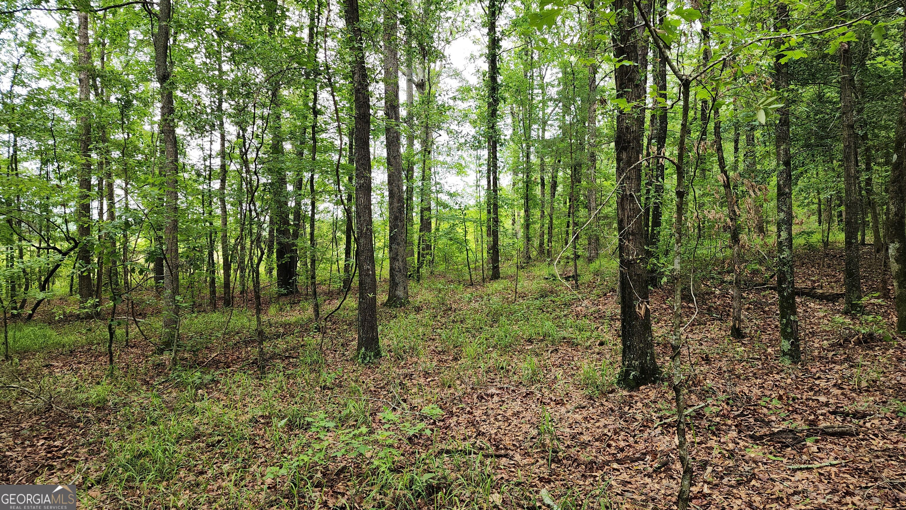 143 Highway 341 S Property Photo 11
